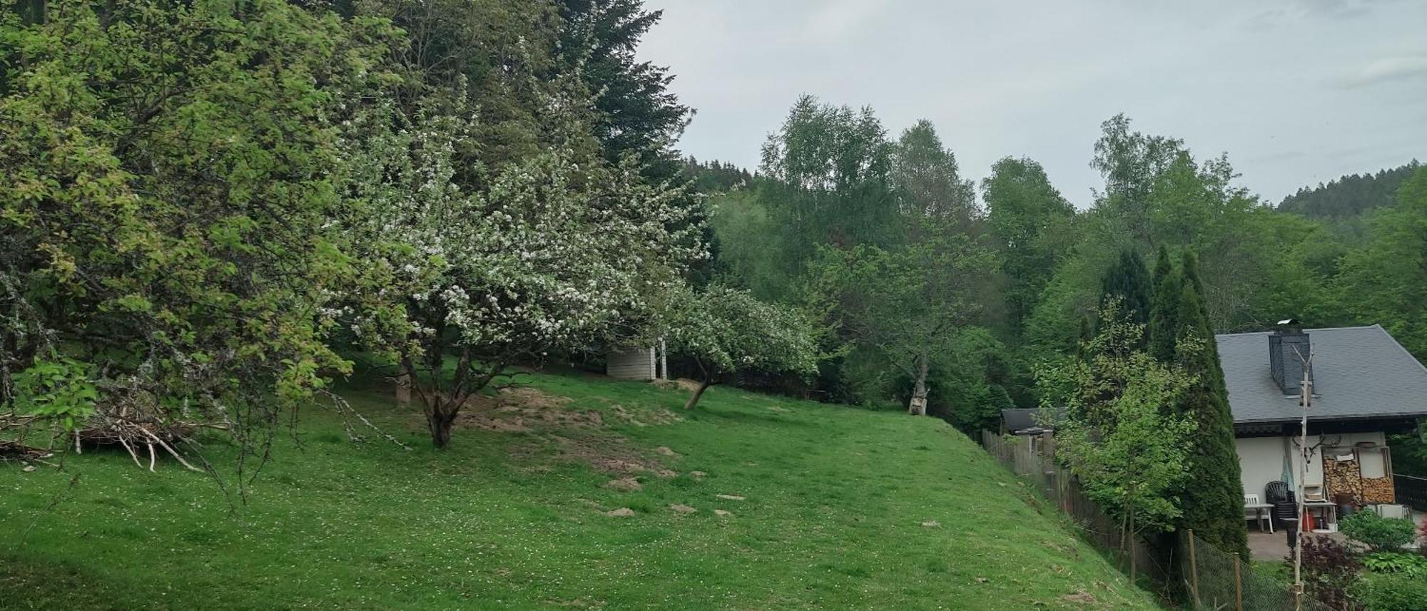 Sessles Waldhaeusschen Dietzhausen Suhl Exterior photo