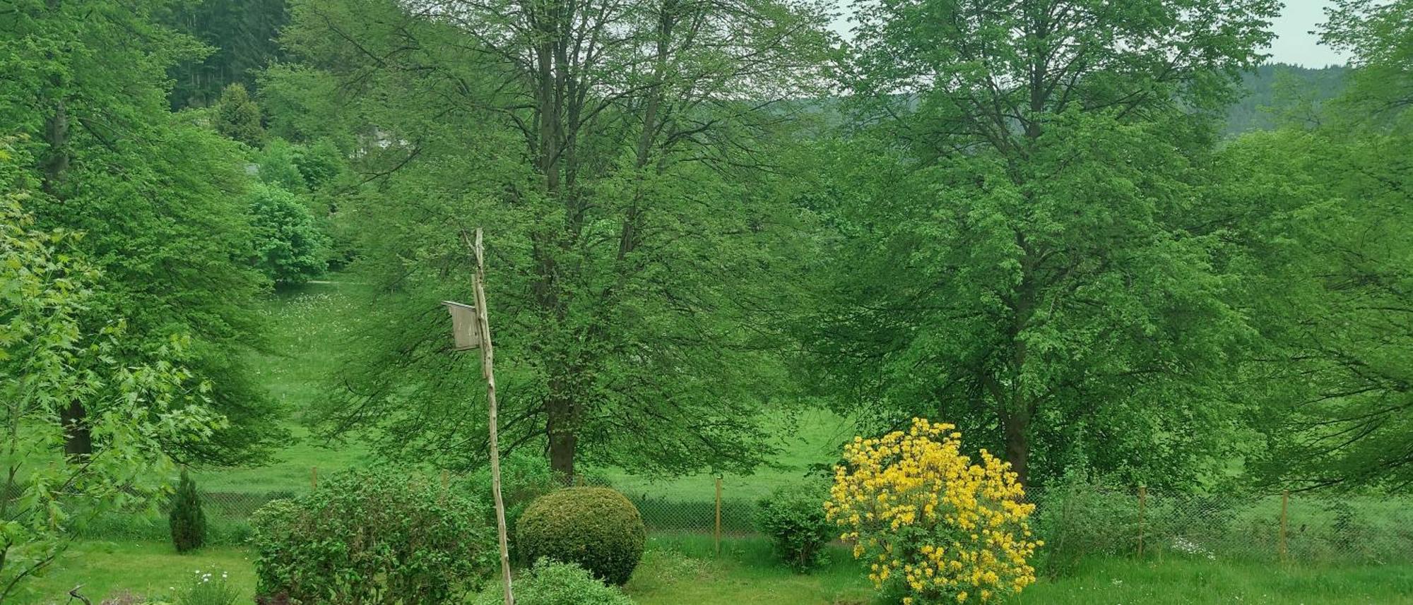 Sessles Waldhaeusschen Dietzhausen Suhl Exterior photo